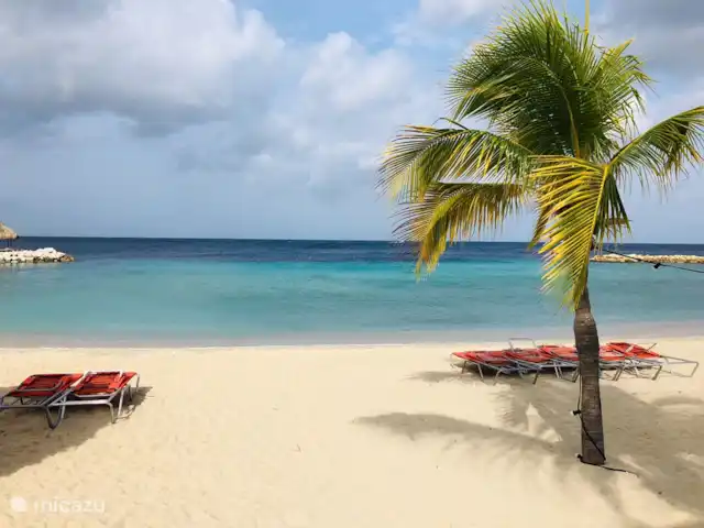 Blue Bay L’océan  | Curaçao, Curaçao-Centre, Blue Bay - appartement Plage