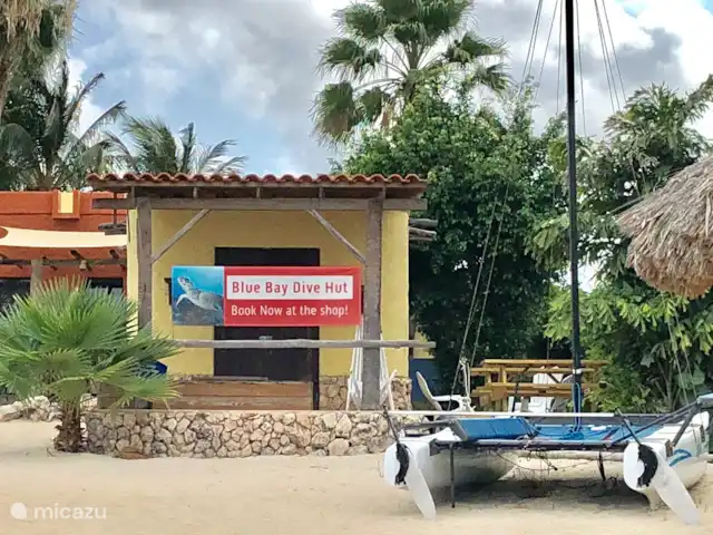 Blue Bay L’océan  | Curaçao, Curaçao-Centre, Blue Bay - appartement École de plongée
