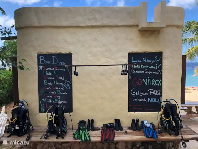 Blue Bay L’océan  | Curaçao, Curaçao-Centre, Blue Bay - appartement Ecole de plongée