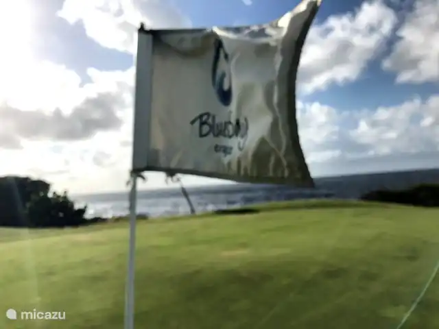 Blue Bay L’océan  | Curaçao, Curaçao-Centre, Blue Bay - appartement le golf