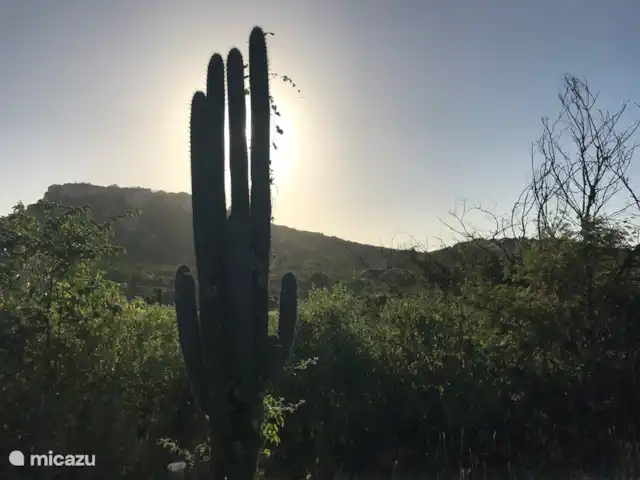 Blue Bay L’océan  | Curaçao, Curaçao-Centre, Blue Bay - appartement Baie bleue