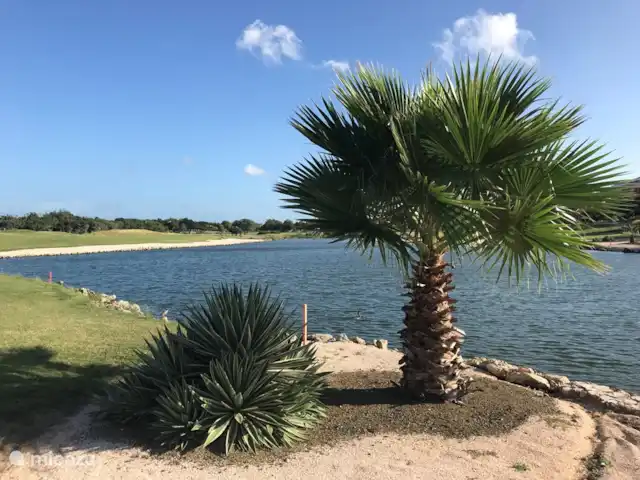 Blue Bay L’océan  | Curaçao, Curaçao-Centre, Blue Bay - appartement baie bleue