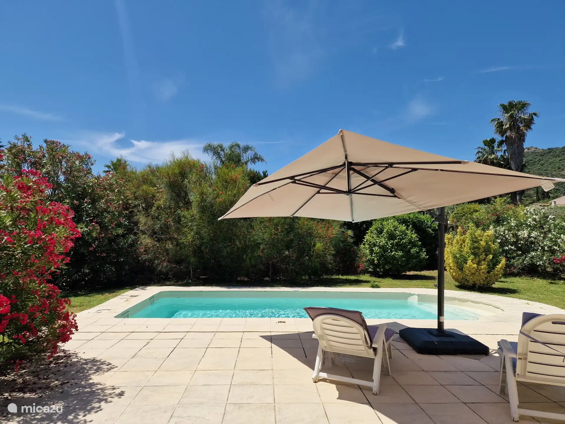 Piscine avec transats et parasol