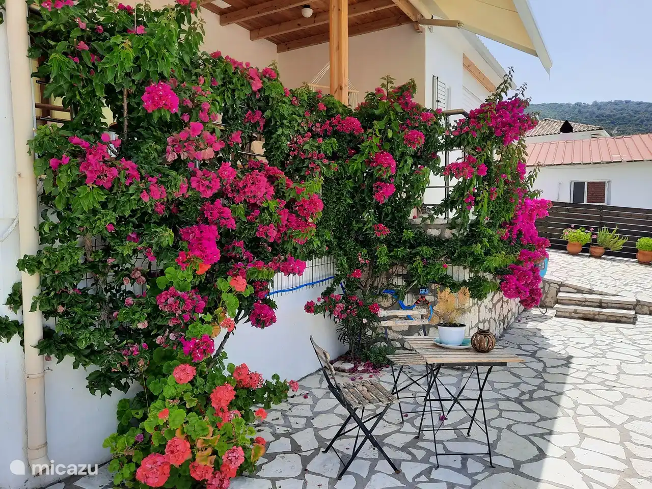 Zitje onder de Bougainville