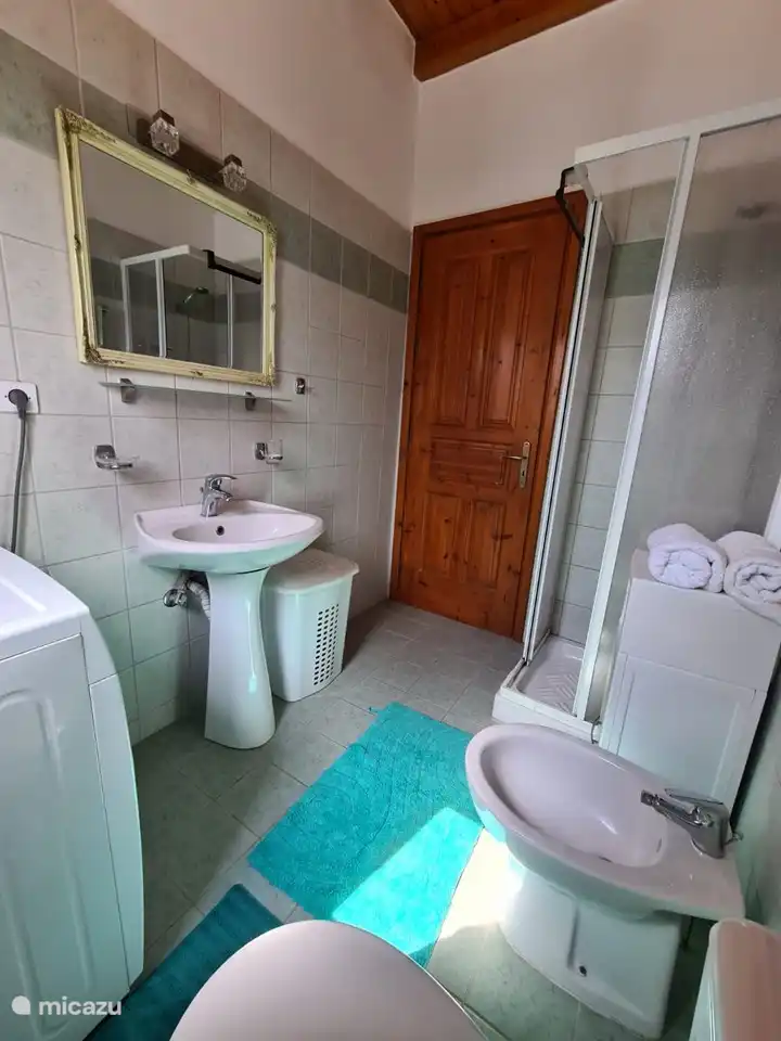 Badkamer met douchecabine en wasmachine