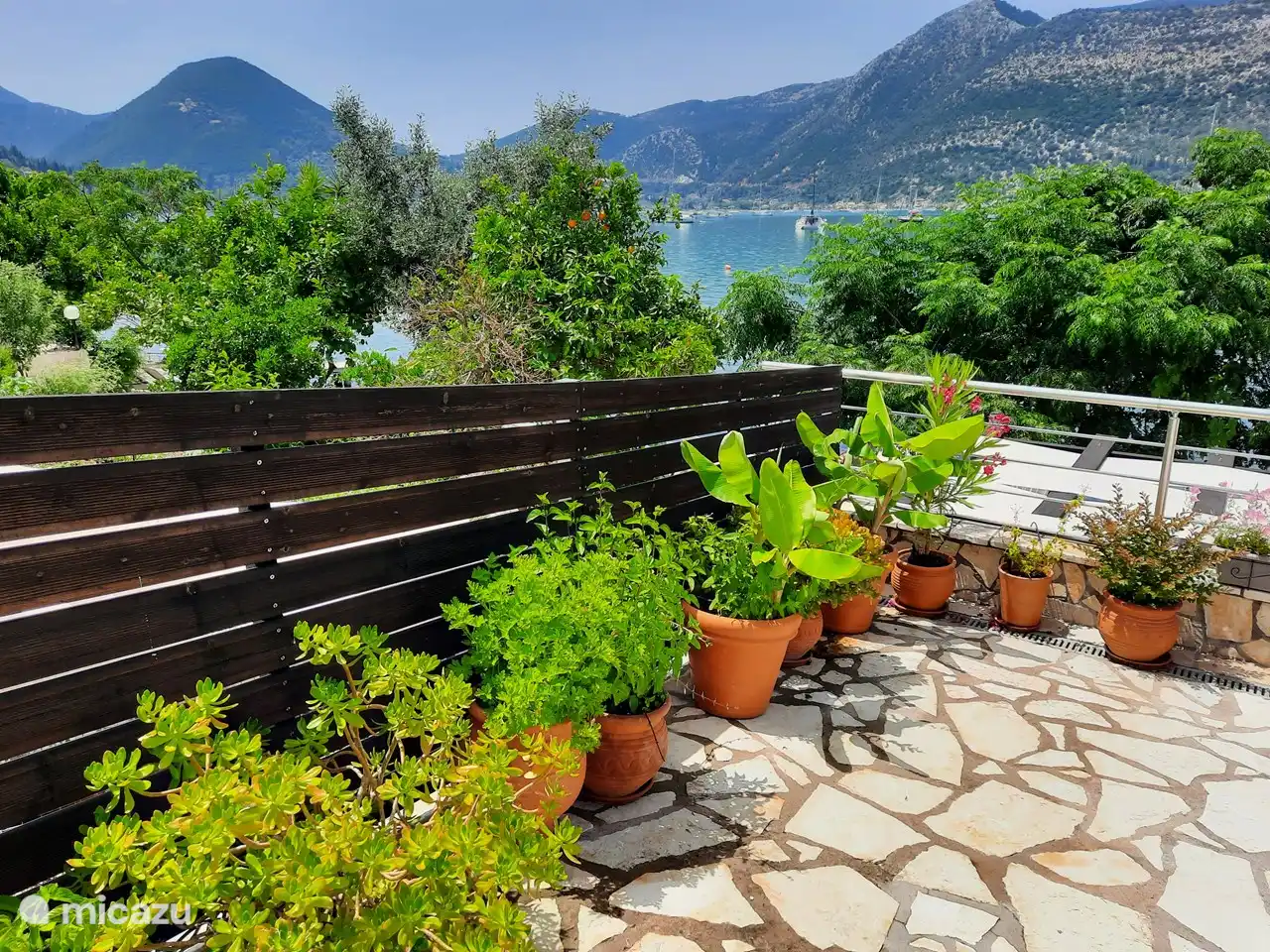 Planten aan zeezijde