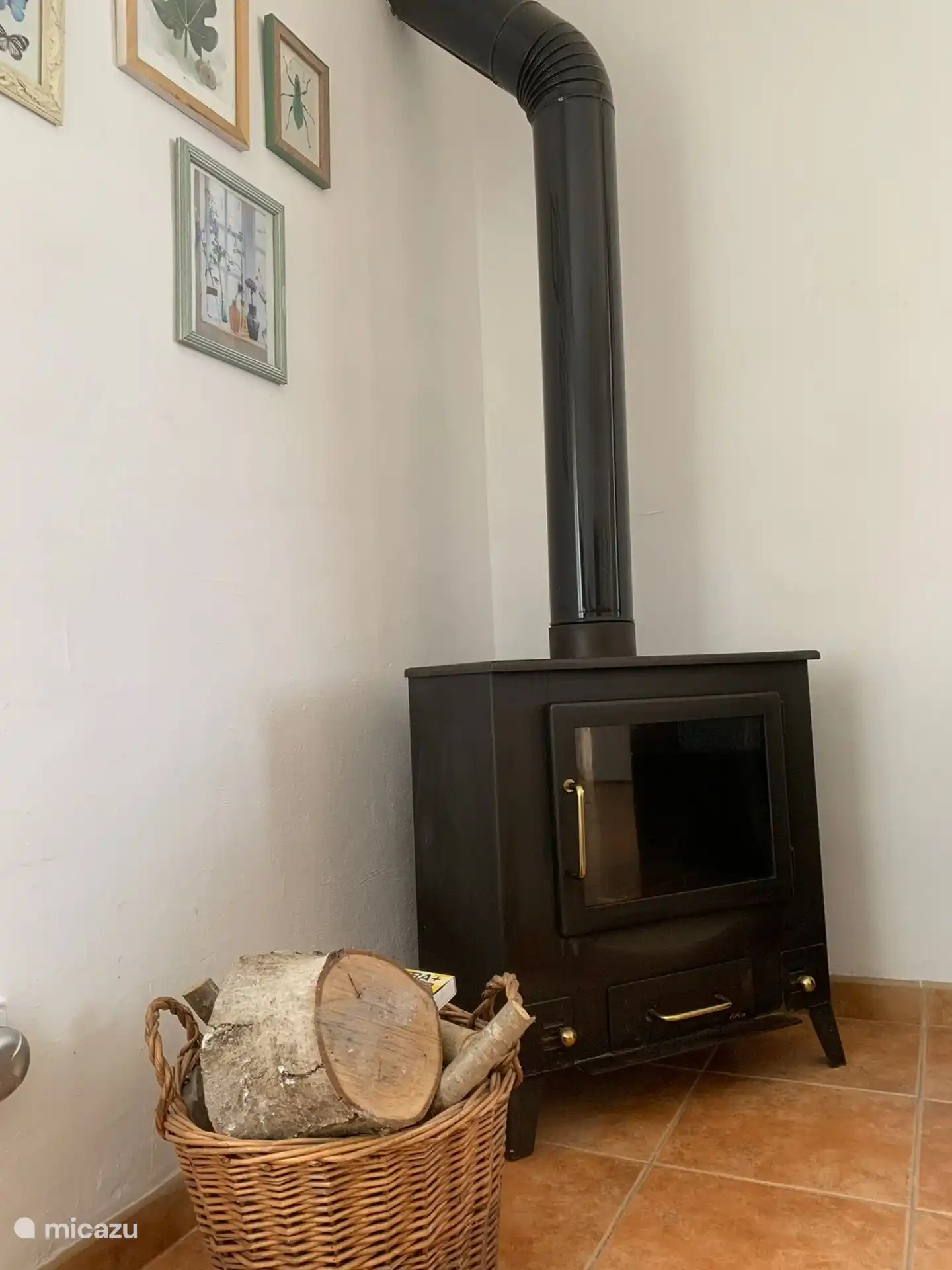 Estufa de le&#241;a en sala de estar
