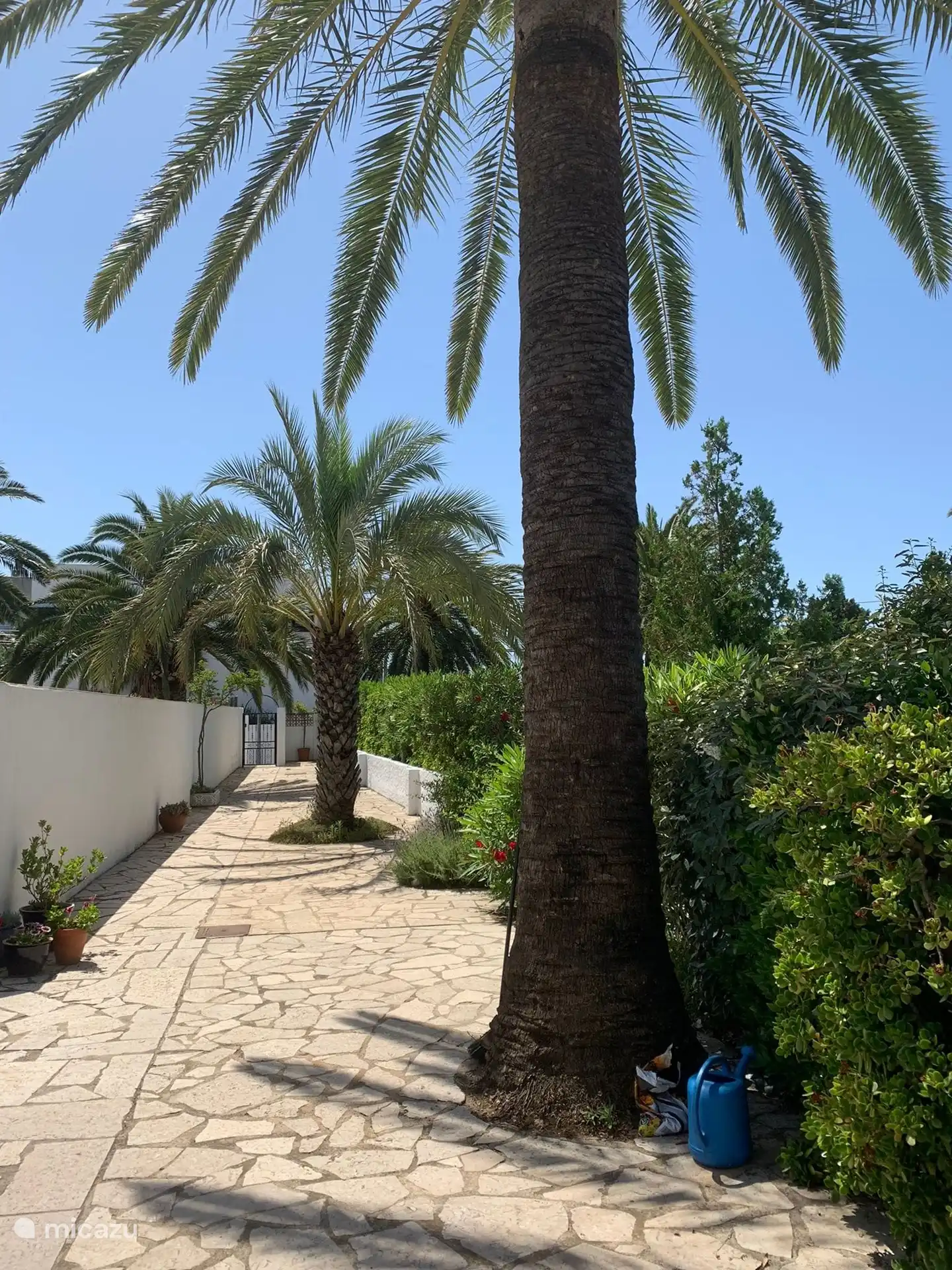 el jard&#237;n frente a la casa