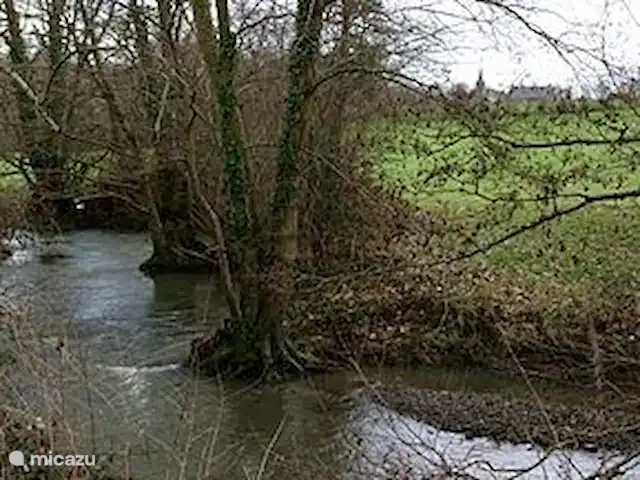 Normandie tricolore, 3 gîtes | France, Orne, Ménil-Vin - maison de vacances Si vous descendez sur la propriété privée, vous y trouverez le ruisseau de Baize.
