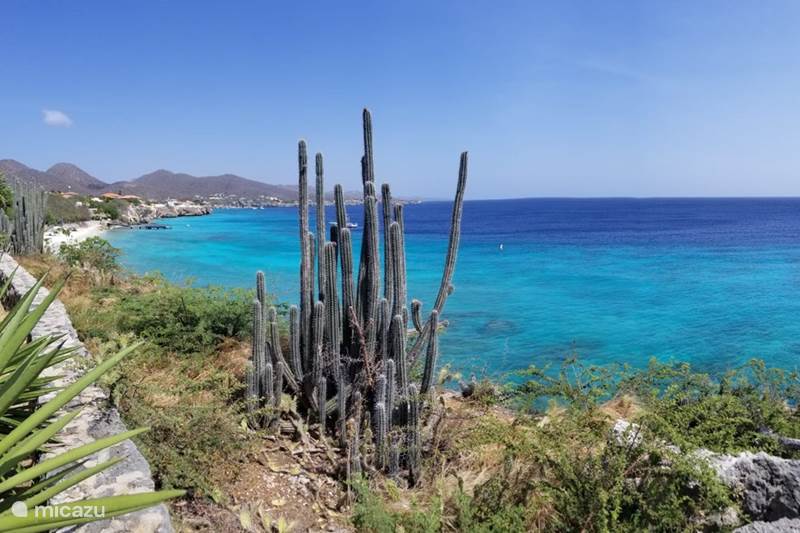 Vakantiehuis Curaçao, Banda Abou (west), Westpunt Vakantiehuis Playa Kalki Ocean Front Villa
