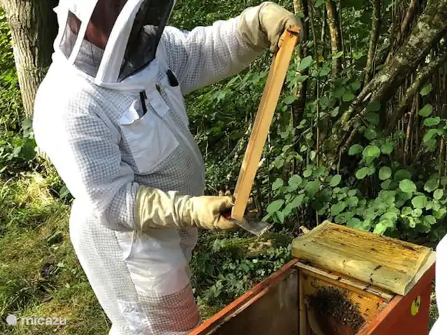 Gîte Les Moutons | France, Orne, Rouperroux - appartement Apiculture