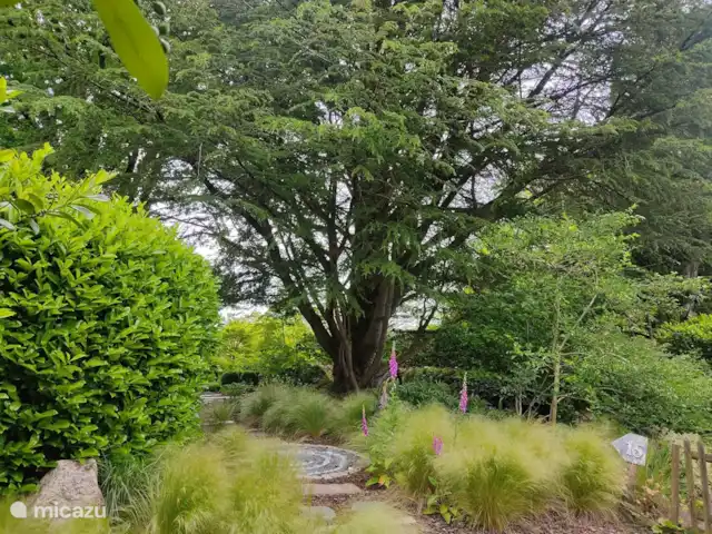 Gîte Les Moutons | France, Orne, Rouperroux - appartement Les Jardins de la Mansionière