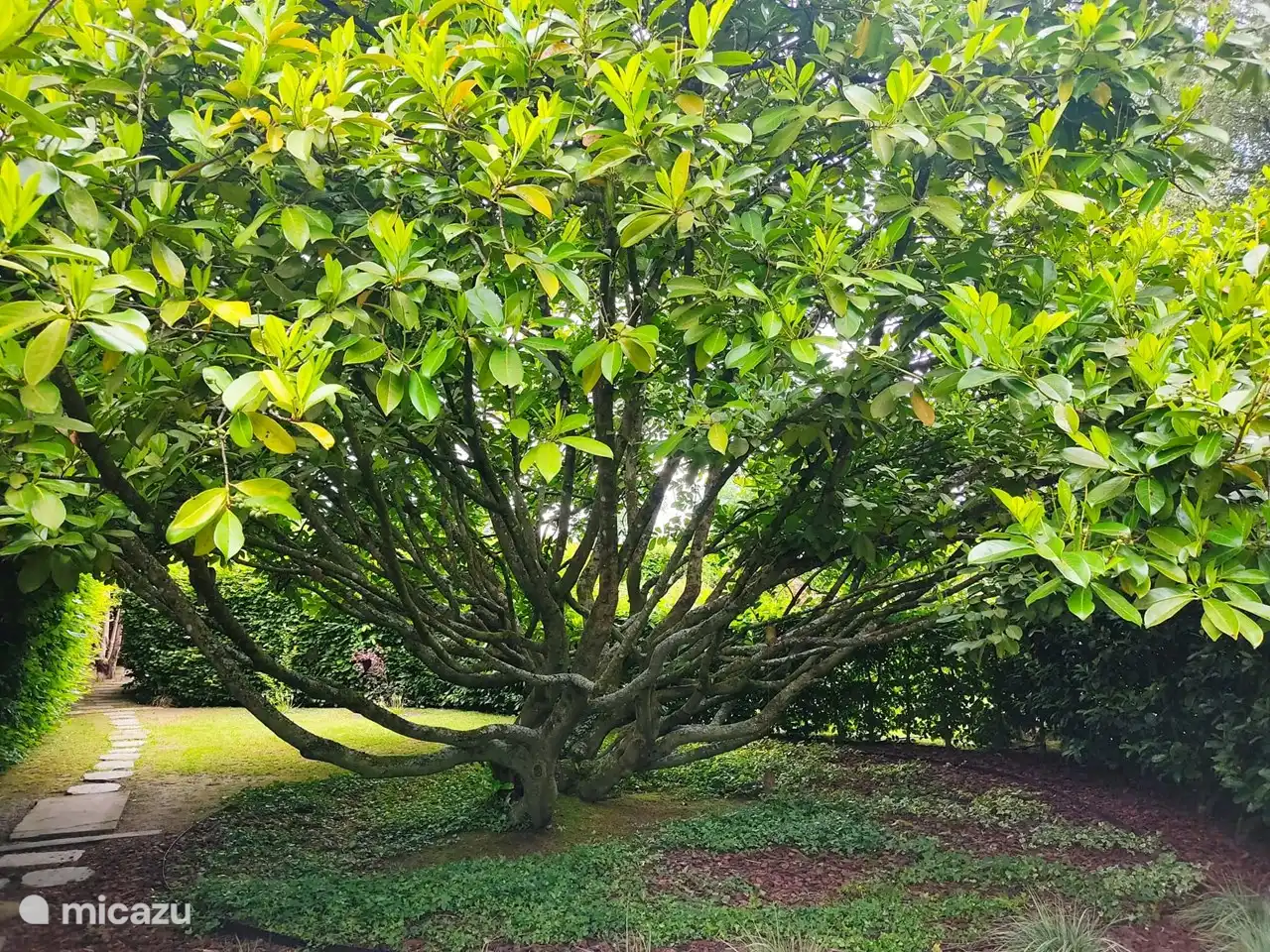 Los Jardines de la Mansioniere