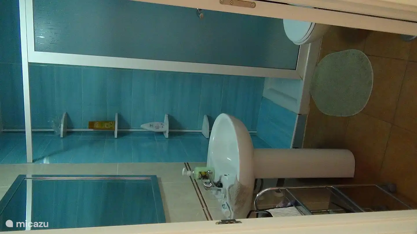 Salle de bain avec douche à l'italienne et WC