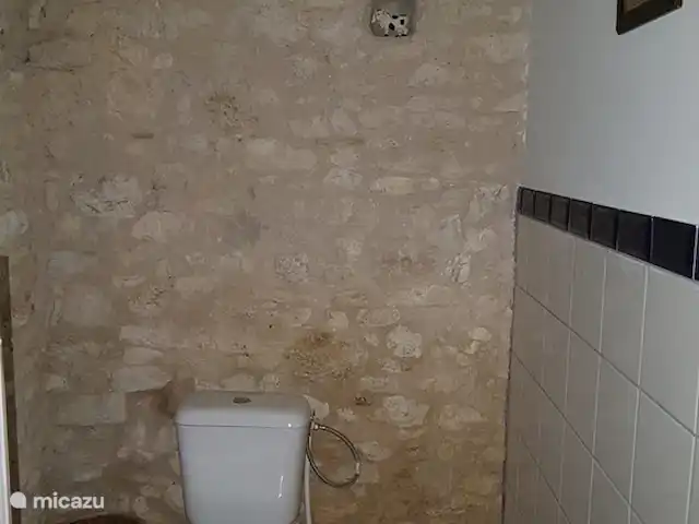 Gaugain | France, Lot-et-Garonne, Douzains - gîte / cottage 2ème toilette