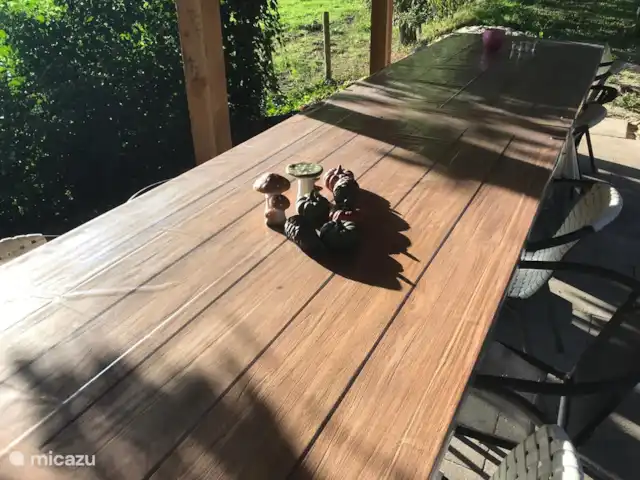 Maison de vacances Het Brede Veld | Pays-Bas, Gueldre, Ede - maison de vacances Table sous l'auvent