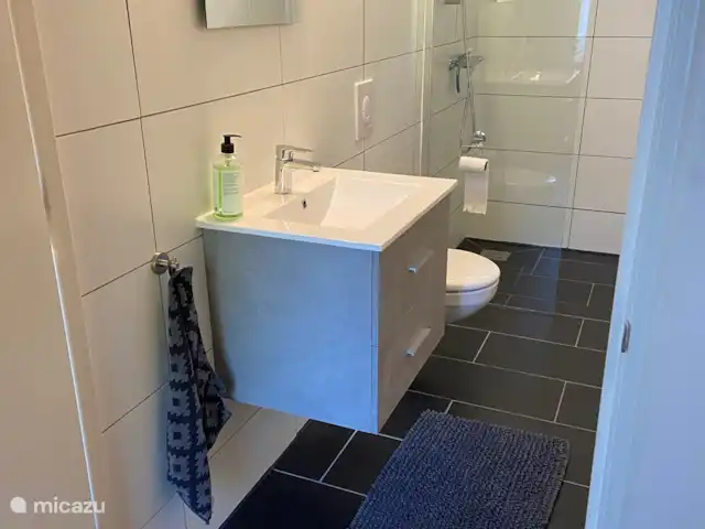 Maison de vacances Het Brede Veld | Pays-Bas, Gueldre, Ede - maison de vacances Salle de bain 1 - en bas