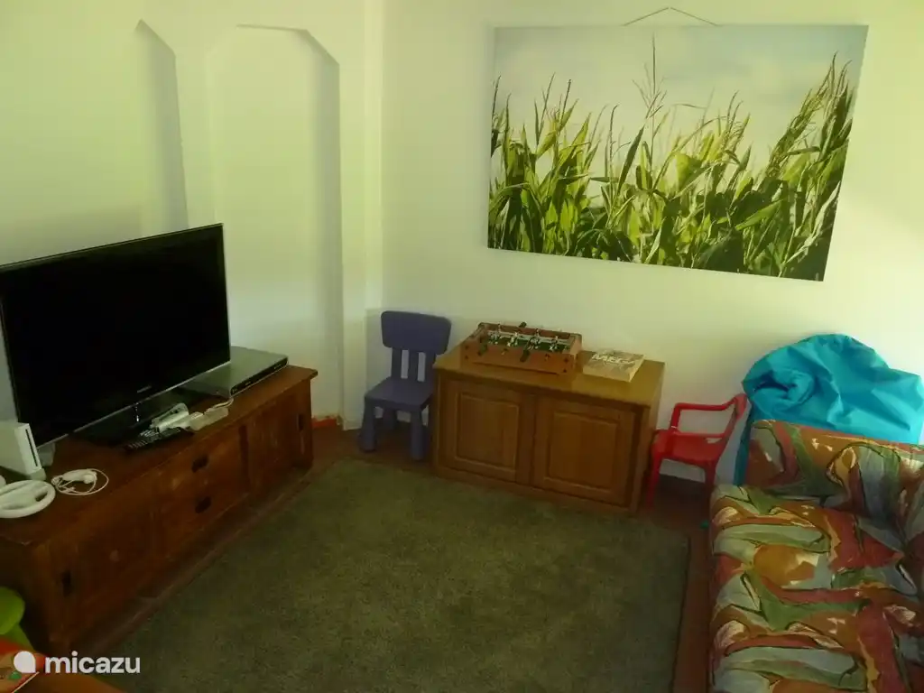 playroom with sofa bed