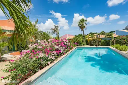 Vakantiehuis Curaçao, Banda Ariba (oost), Jan Thiel vakantiehuis Verborgen parel Jan Thiel Vakantiehuis Curaçao, Banda Ariba (oost), Jan Thiel vakantiehuis Verborgen parel Jan Thiel