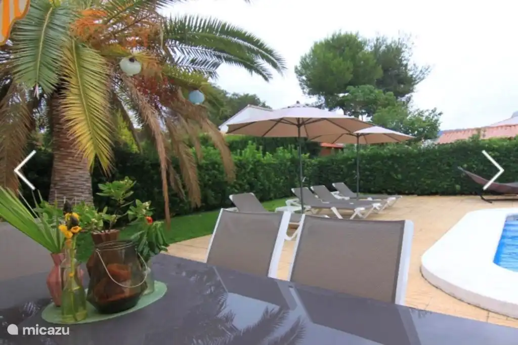 mucha vegetación alrededor de la terraza