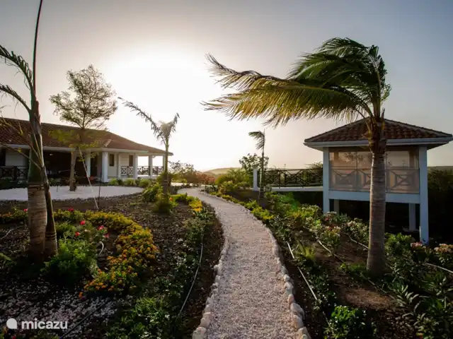 Villa Gran Vista | Curaçao, Banda Abou (ouest), Coral Estate, Rif St.Marie - villa Allée de jardin menant au banc privé avec vue sur le lac salé de Jan Kok.