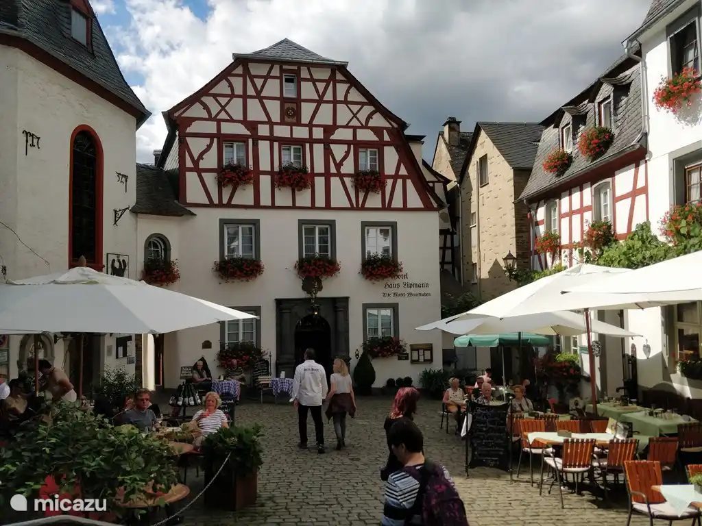 Rent Steenenhoeve Apartment 1 In Sabershausen Hunsruck