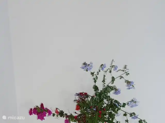 Villa Anna | Grèce, Crète, Kyrianna - villa Détail