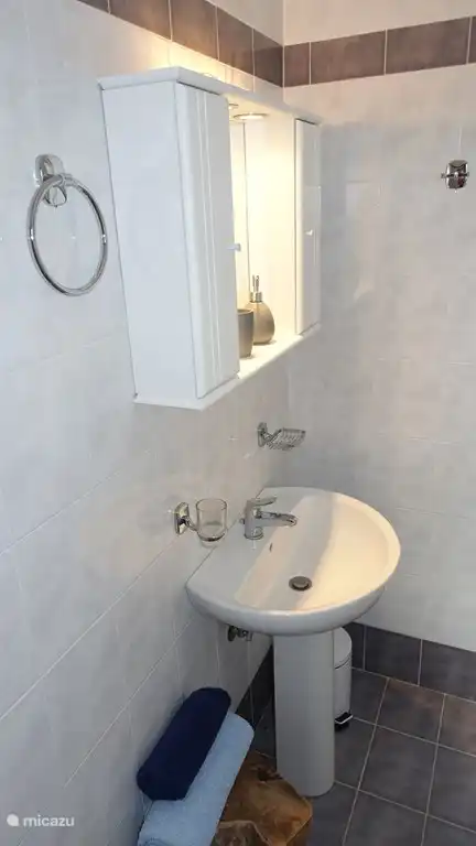 baño