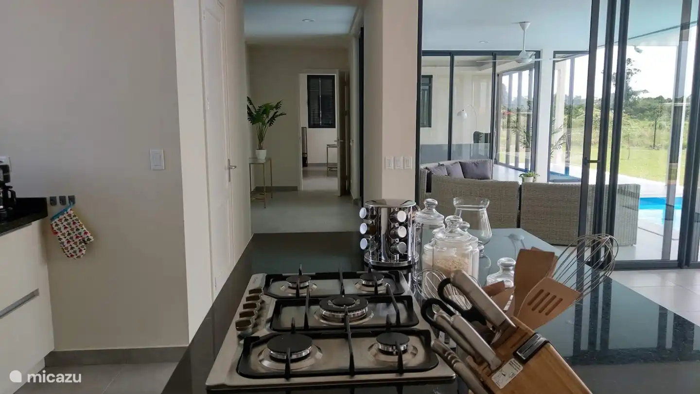 From the kitchen a view to the salon and library