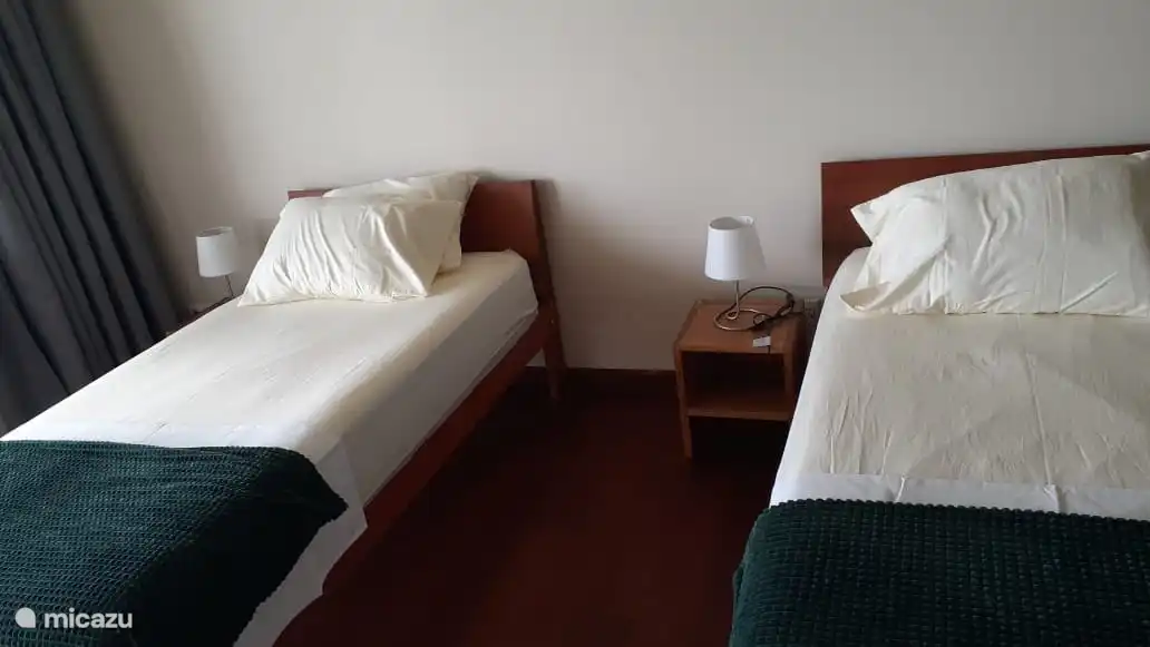 Twin beds, handmade with tropical hardwood