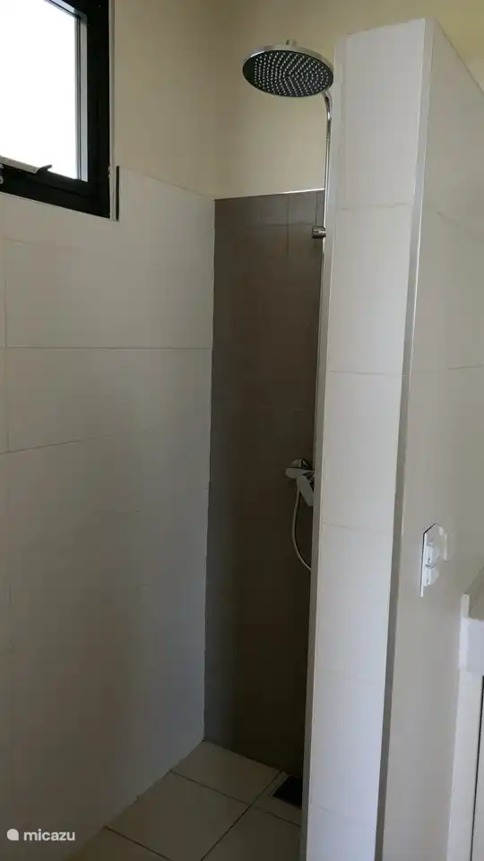 Spacious bathroom, walk-in shower in master bedroom.