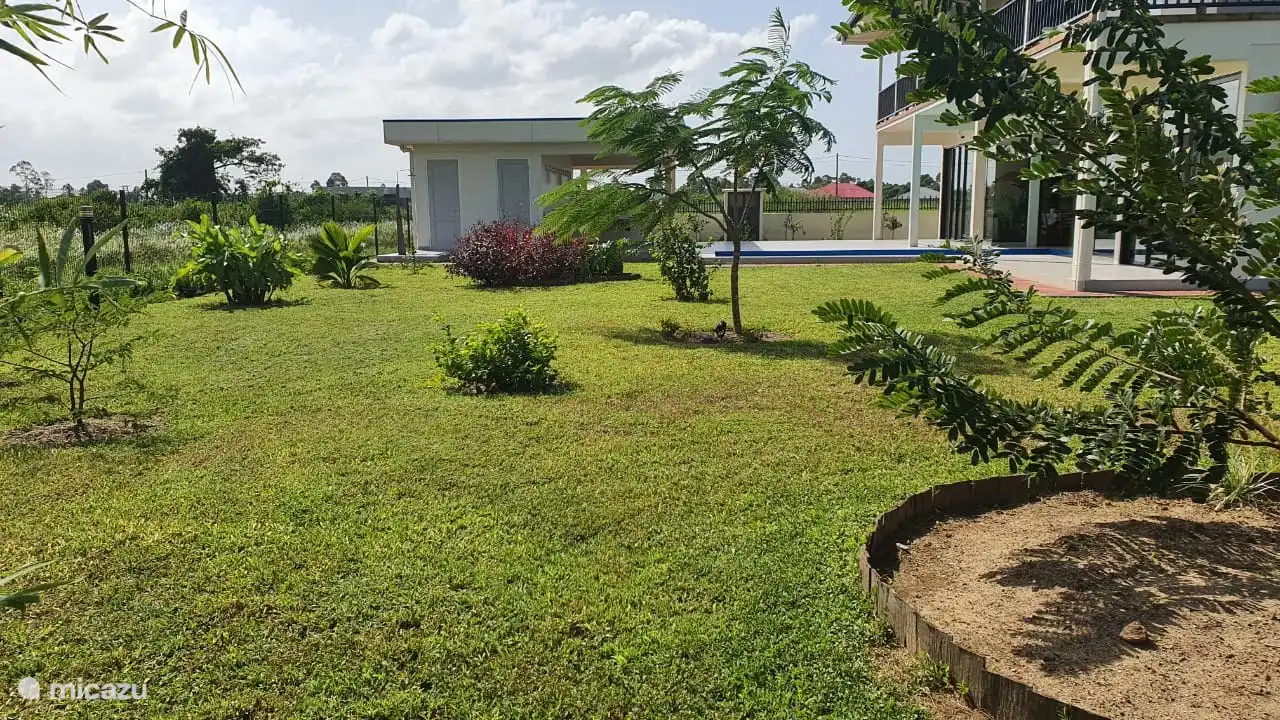 Mature garden with fruit trees, bananas and flowering shrubs