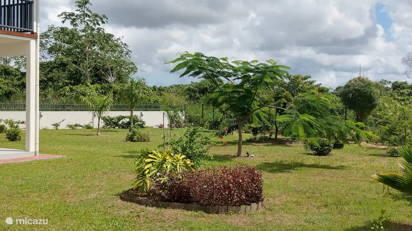flowers, fruit, bananas in the garden