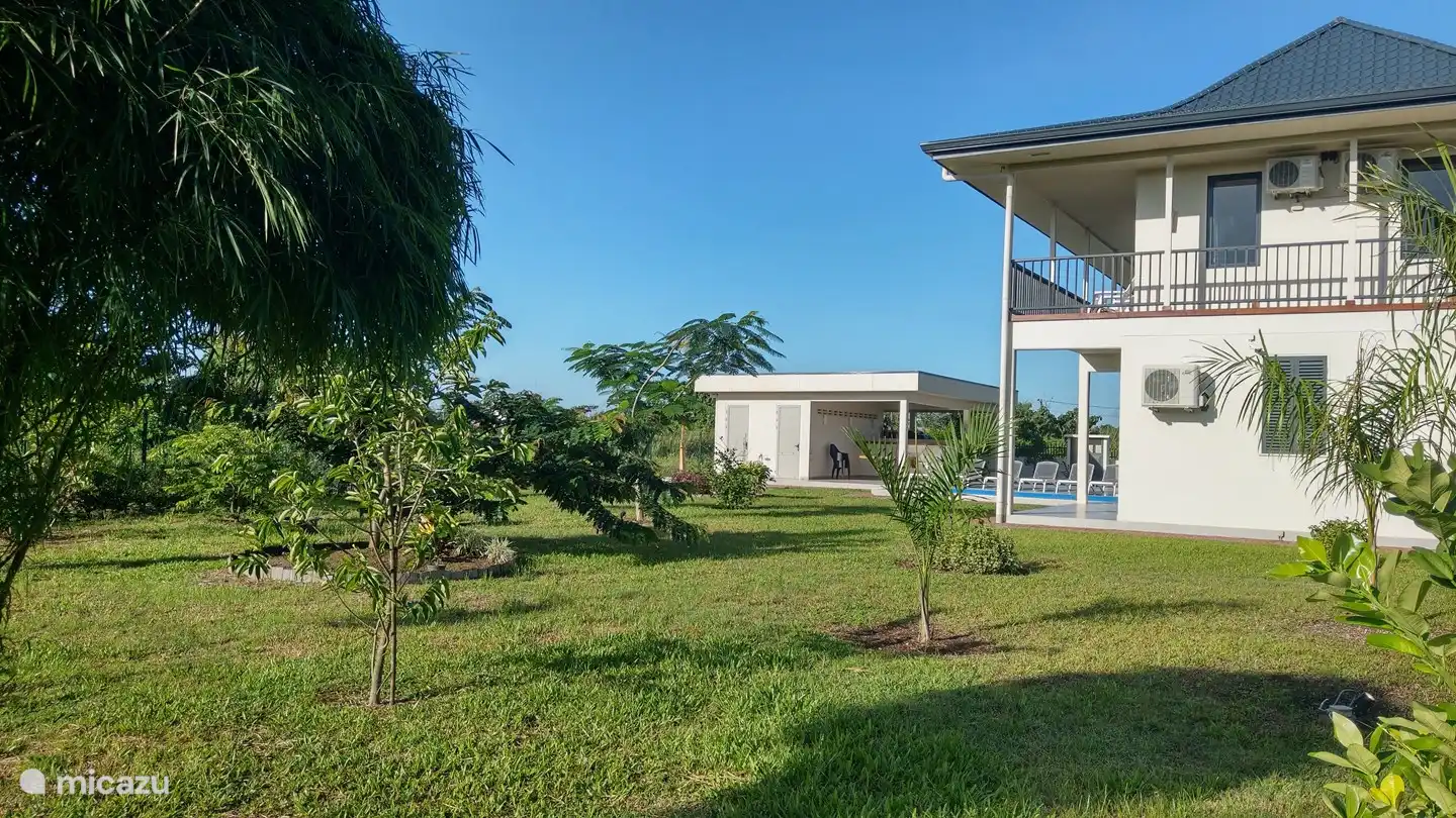 overview of the garden (side view)