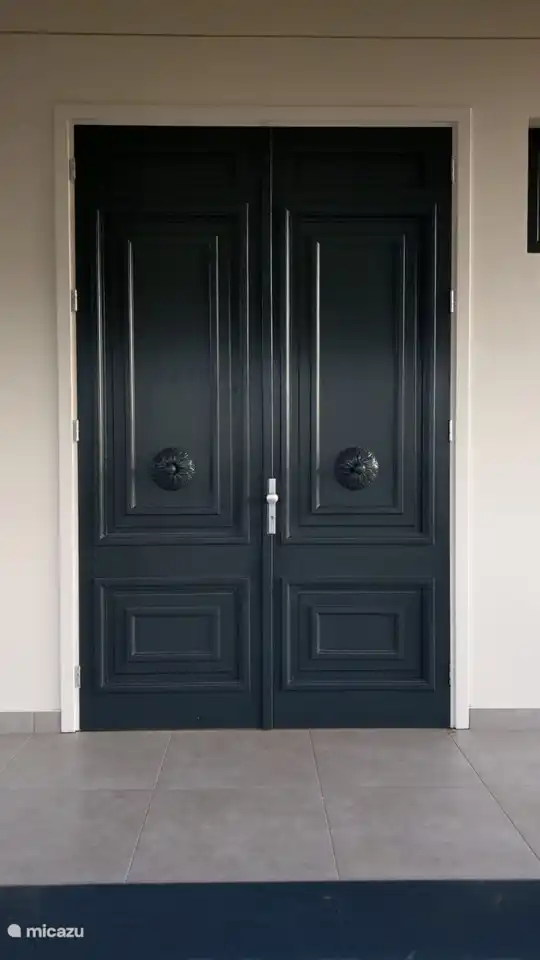 Front door of the villa, inspired by the old doors in the city.