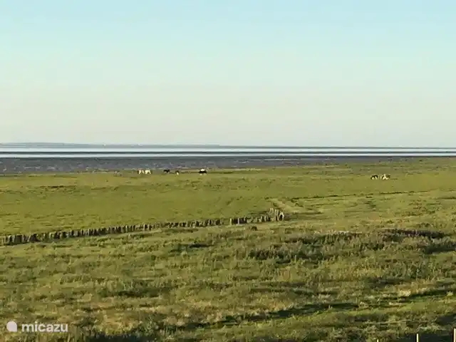 Blick vom Deich auf das Wattenmeer