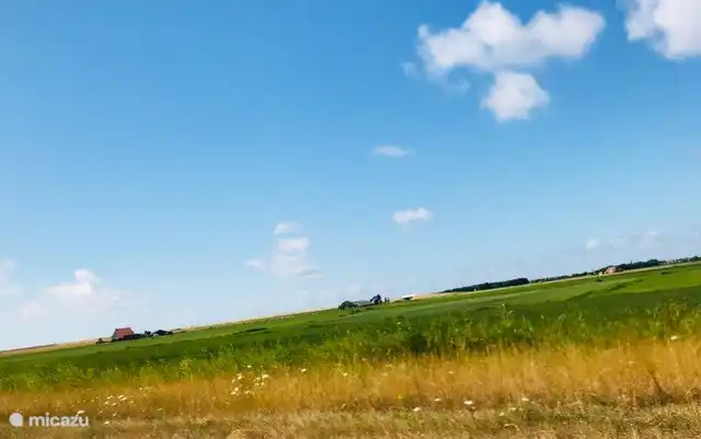 29 Tzummarum Bereich