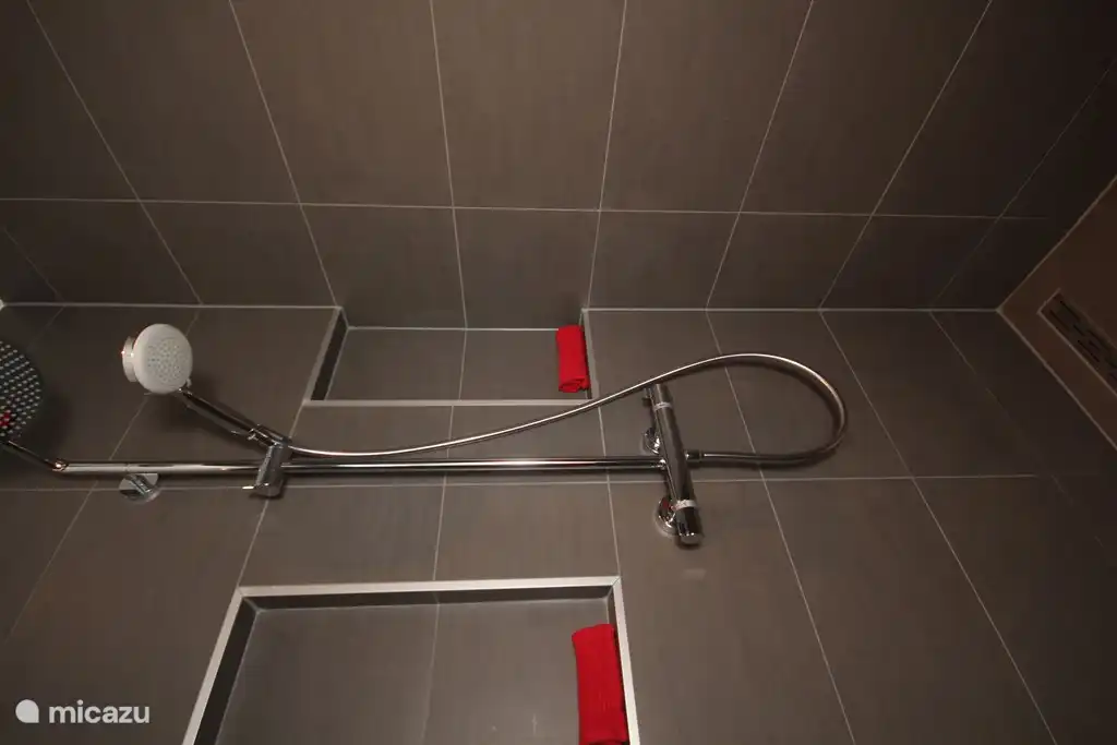 Douche à l'italienne spacieuse avec pluie et pomme de douche standard.