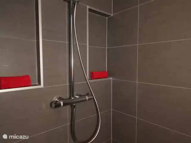 Bungalow Bavelds Home incl. Airco huren in Nederland, Overijssel, Denekamp - bungalow Ruime inloopdouche met regen- en standaard douchekop.