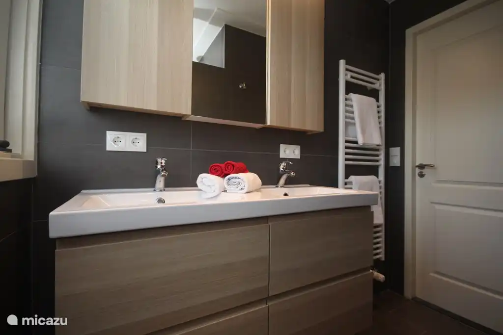 Évier double et armoires de salle de bain spacieuses.