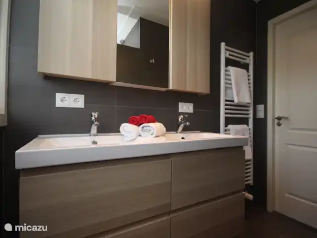 Bungalow Bavelds Home incl. Airco huren in Nederland, Overijssel, Denekamp - bungalow Dubbele wastafel en ruime badkamerkasten.