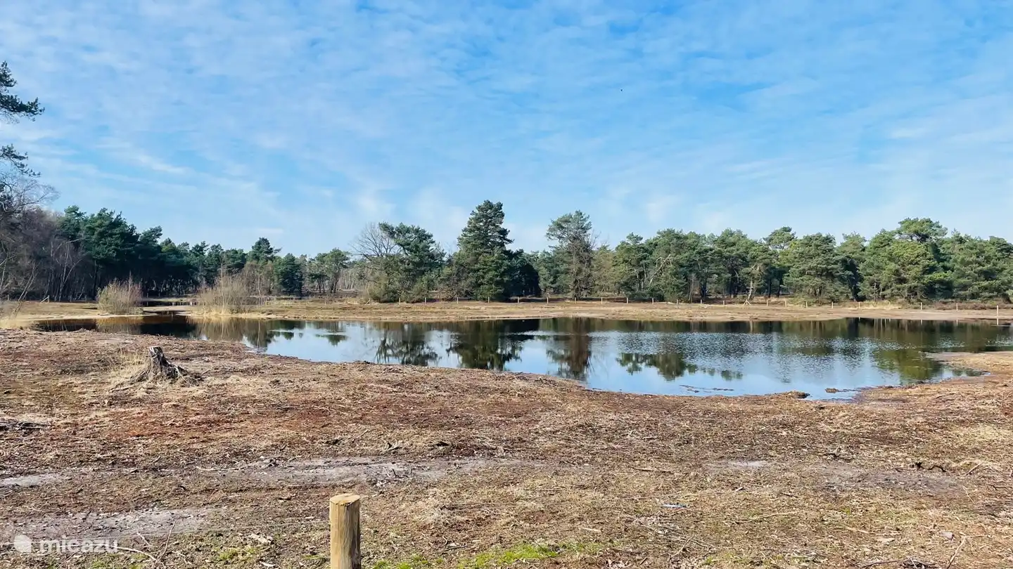 Réserve naturelle 'De Bergvennen' avec de nombreuses pistes cyclables et pédestres.