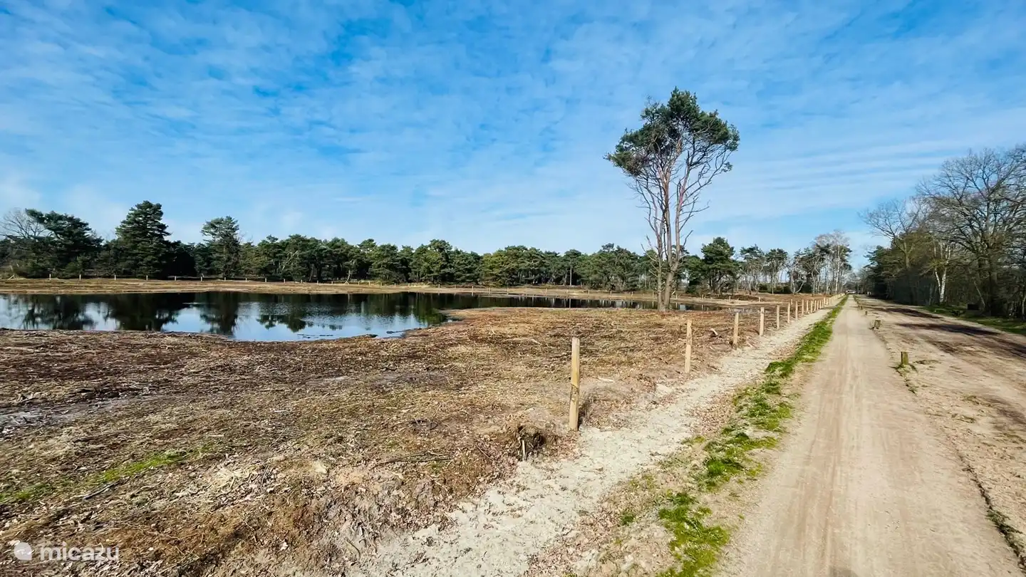 Paysage de bruyère 'Bergvennen &amp; Brecklenkampse Veld'.