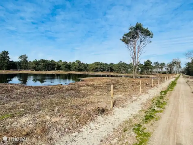 Bungalow Bavelds Home incl. Airco huren in Nederland, Overijssel, Denekamp - bungalow Heidelandschap 'Bergvennen & Brecklenkampse Veld'.