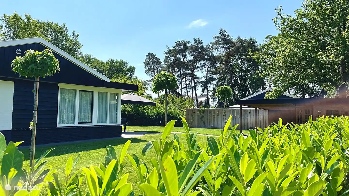 Du vert tout autour.