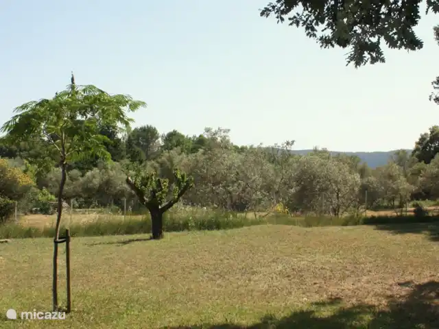 Villa Lou Jas | France, Var, Bagnols-en-Forêt - villa Vue sur les oliviers