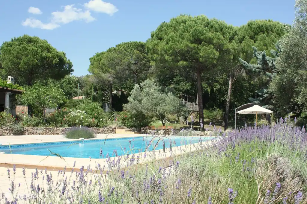 Das Schwimmbad ist von Pinien, Olivenbäumen und Zypressen umgeben