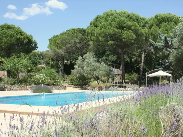 Villa Lou Jas | France, Var, Bagnols-en-Forêt - villa La piscine est entourée de pins, d'oliviers et de chênes