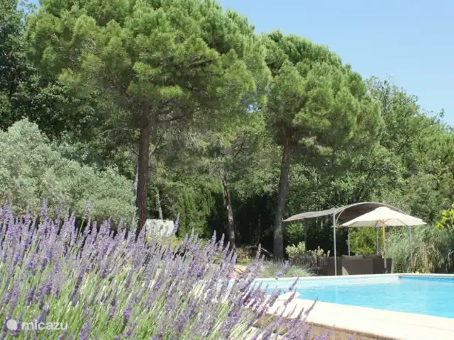 Villa Lou Jas | France, Var, Bagnols-en-Forêt - villa Tu peux sentir la lavande