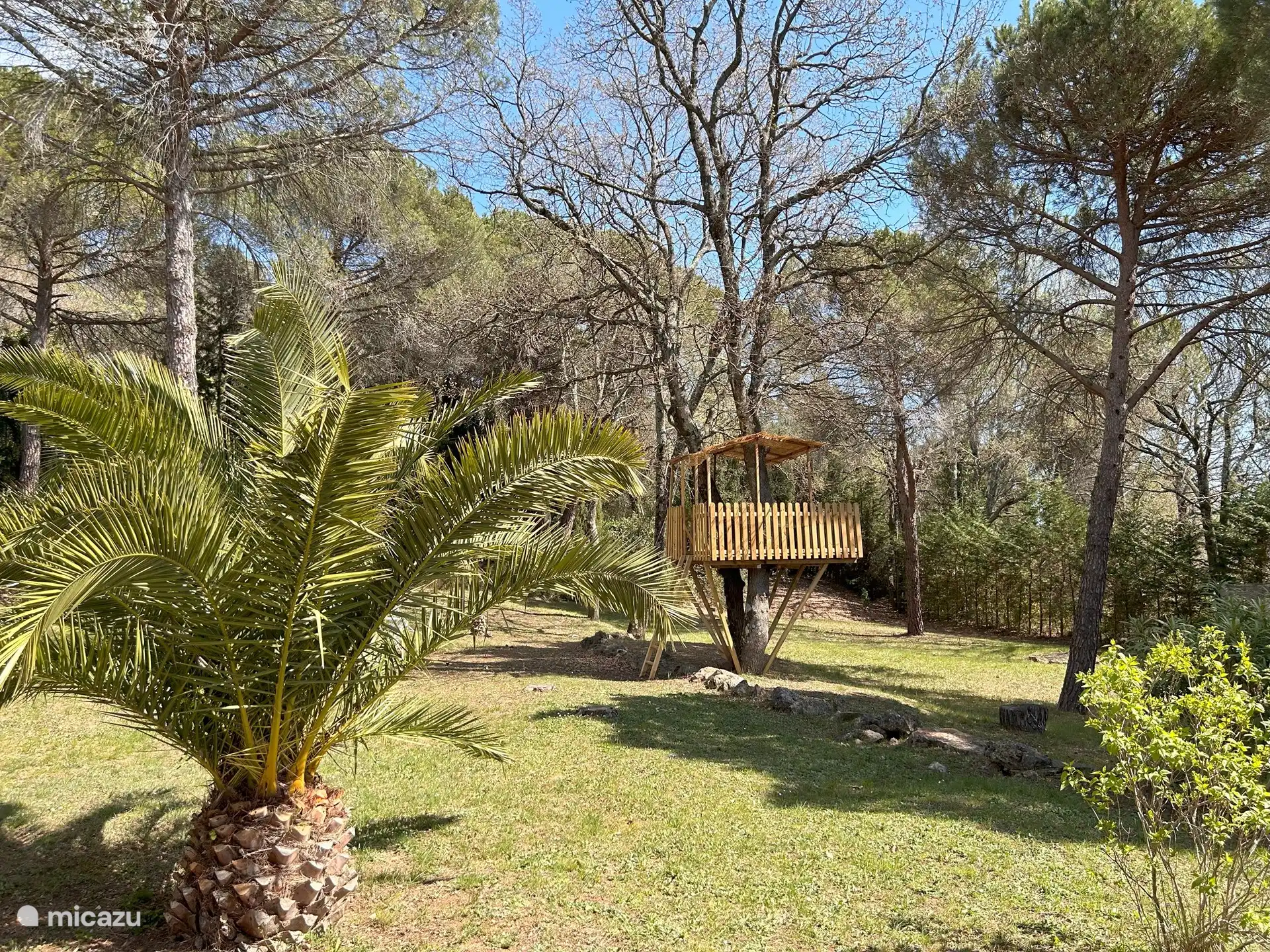 Palmen, Pinien, Eichen und renoviertes Baumhaus